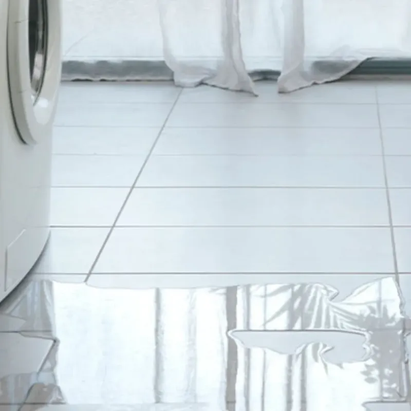 Appliance Leak Cleanup in Smyrna, DE