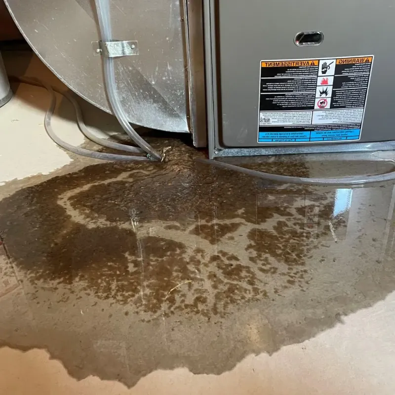 Pipe Burst and Leak Restoration in Smyrna, DE