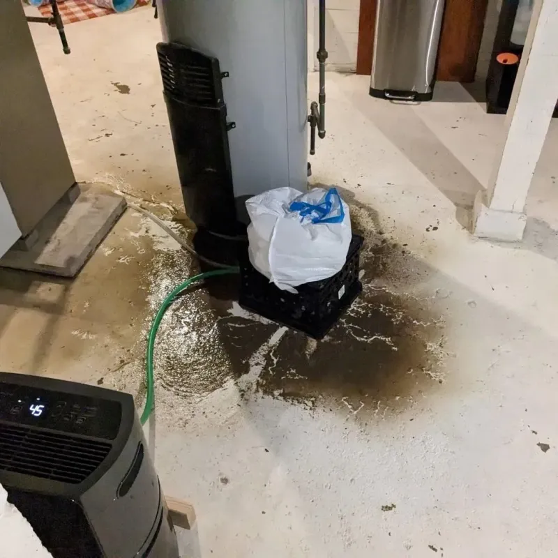 Sewage Backup Cleanup Service in Smyrna, DE